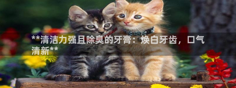 凯时kb88kb88