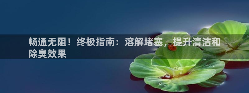 尊龙凯时网页版