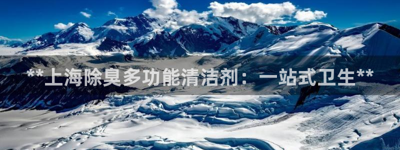尊龙人生就是博下载：**上海除臭多功能清洁剂：一站式卫生