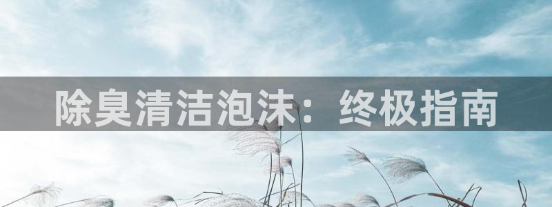 尊龙凯时人生就是博官网登录：除臭清洁泡沫：终极指南