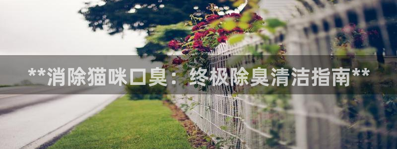 尊龙ktv怎么样：**消除猫咪口臭：终极除臭清洁指南**