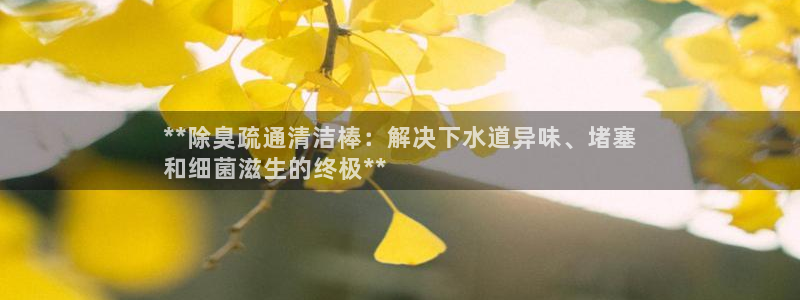 尊龙凯时城游戏官网：**除臭疏通清洁棒：解决下水道异味、