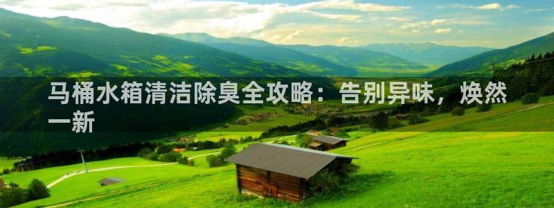 尊龙人生就是博首页入口：马桶水箱清洁除臭全攻略：告别异味