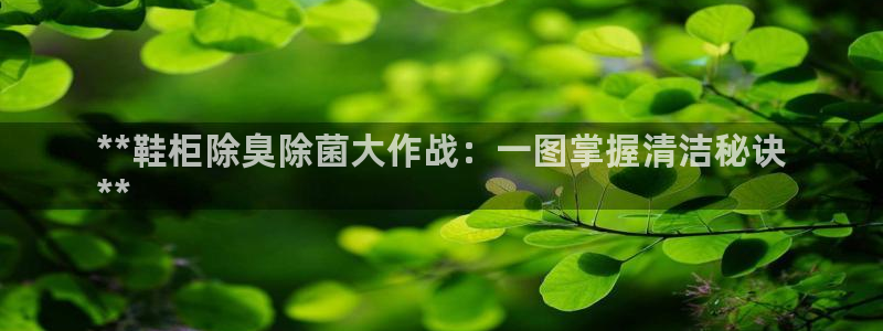 尊龙 国外：**鞋柜除臭除菌大作战：一图掌握清洁秘诀
*