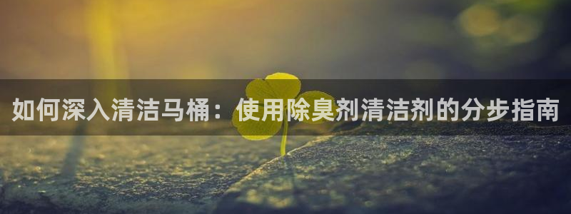 尊龙凯时麻将胡了：如何深入清洁马桶：使用除臭剂清洁剂的分