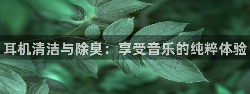 凯时app官网首页