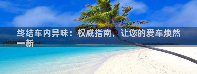 尊龙凯时人生就是博官网登录：终结车内异味：权威指南，让您