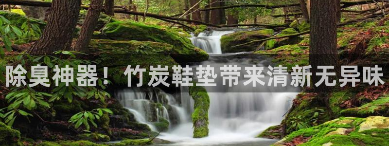 尊龙d88现金 旧版本可靠送38元