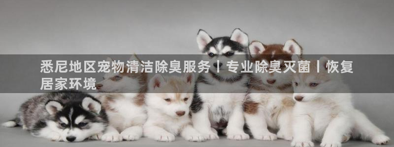 尊龙凯时平台官网
