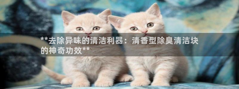 KB88凯时官网：**去除异味的清洁利器：清香型除臭清洁