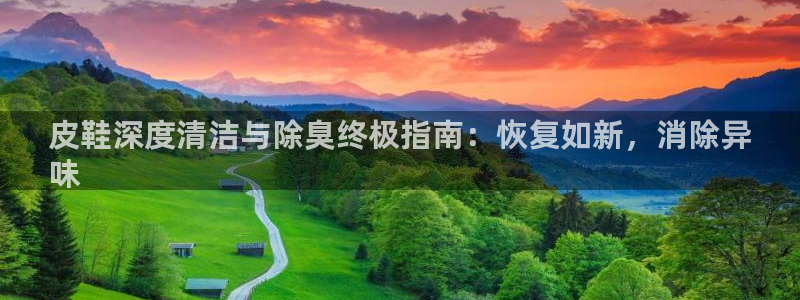 尊龙人生就是博首页入口：皮鞋深度清洁与除臭终极指南：恢复