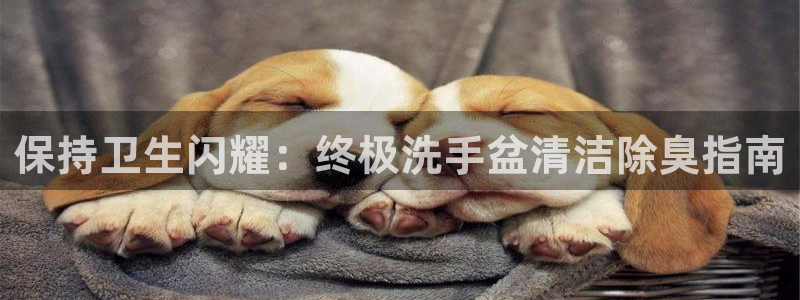 尊龙凯时新闻：保持卫生闪耀：终极洗手盆清洁除臭指南