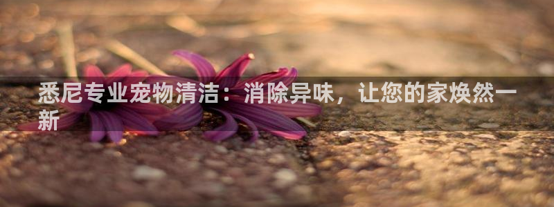 尊龙Ag：悉尼专业宠