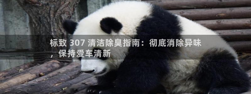 尊龙2016：标致 307 清洁除臭指南：彻底消除异味
