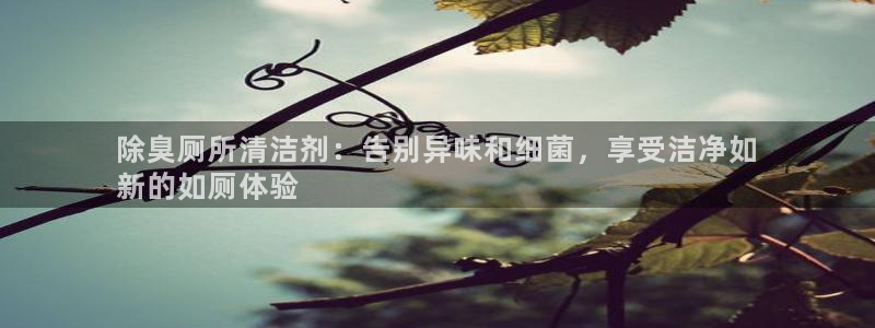 尊龙凯时游戏厅：除臭厕所清洁剂：告别异味和细菌，享受洁净