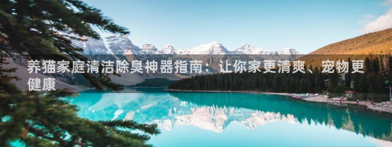 凯时游戏app：养猫