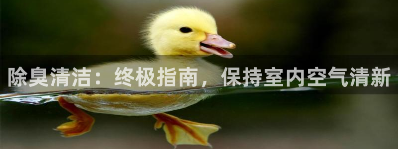 尊龙凯时d3563