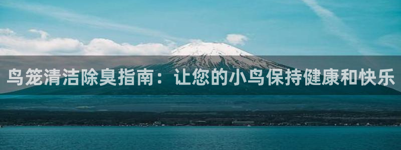尊龙ag旗舰厅手机版：鸟笼清洁除臭指南：让您的小鸟保持健