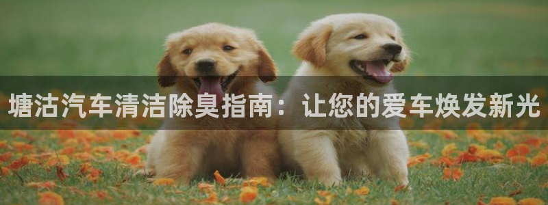 尊龙人生就是博中国区