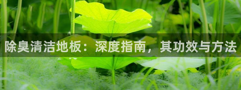 尊龙饰演过的经典角色