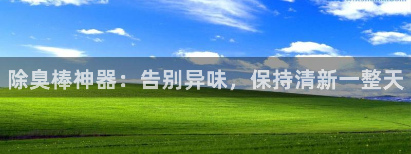 尊龙电子：除臭棒神器：告别异味，保持清新一整天