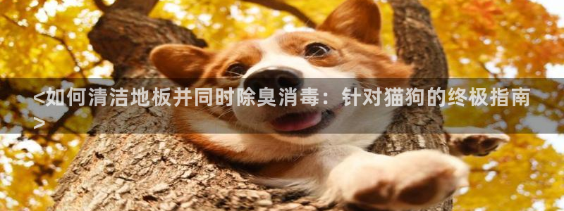 凯时K66最新版本下载