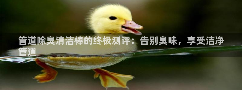 z6尊龙凯时旗：管道除臭清洁棒的终极测评：告别臭味，享受