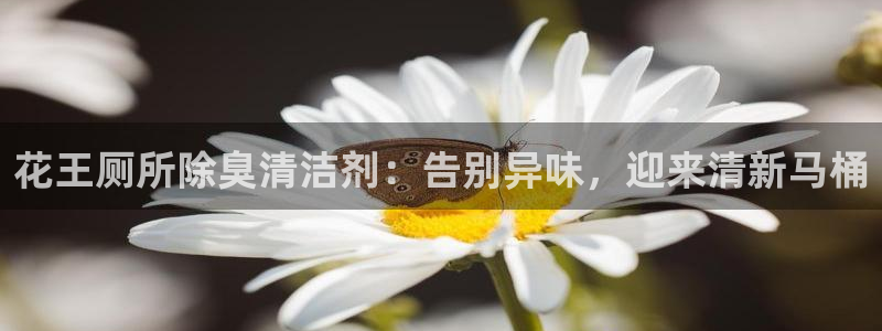 尊龙d88现金关注ag发财网