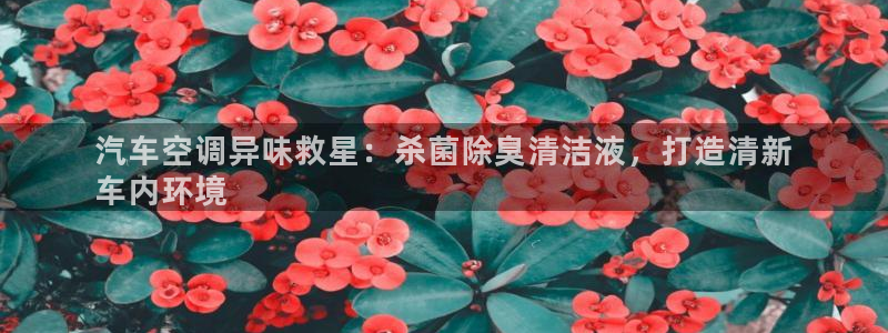 尊龙官网登录·(中国)官方网站-bd SPORTS