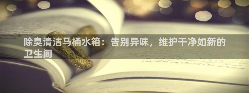 KB88凯时官网：除臭清洁马桶水箱：告别异味，维护干净如