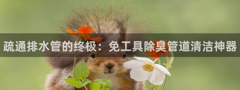 凯时k8官网首页：疏
