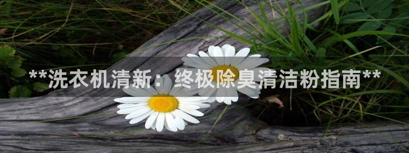 尊龙d88官网确来就