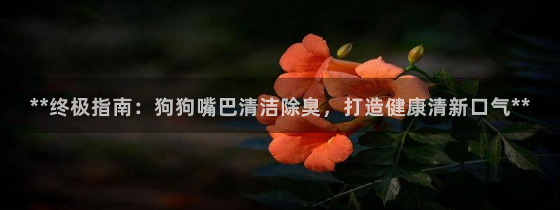 凯时ag旗舰厅登录