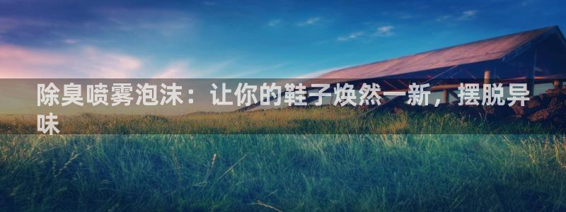 尊龙网站下分慢：除臭