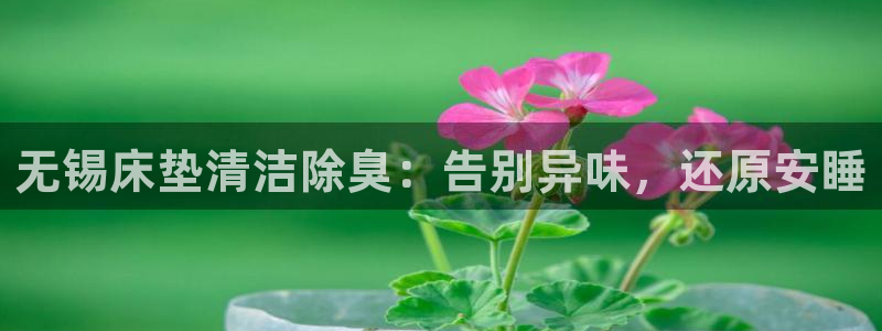 凯时app赢AG发财网来就送38