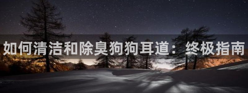 凯时在线平台官网
