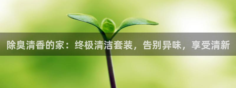 凯时ag旗舰厅