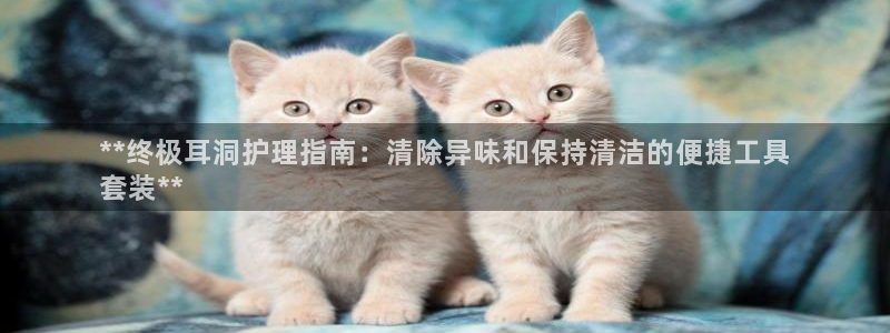 尊龙凯时总部在哪里