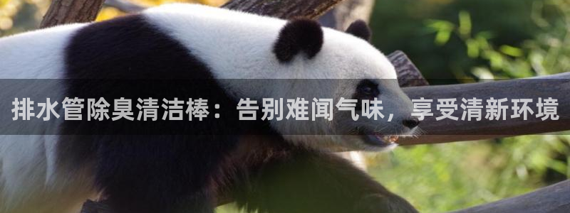 尊龙d88现金可来就送38