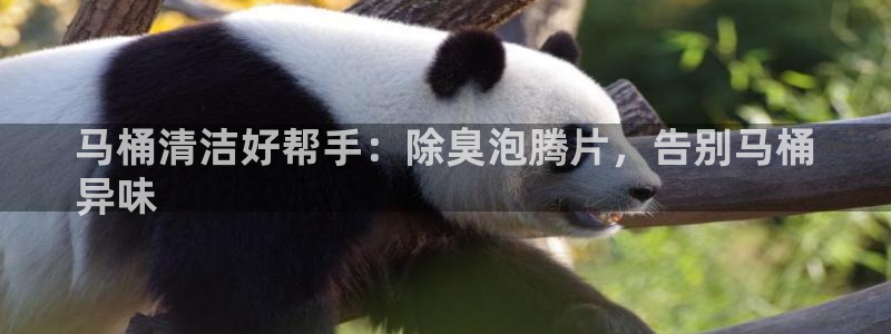 尊龙注册码：马桶清洁好帮手：除臭泡腾片，告别马桶
异味