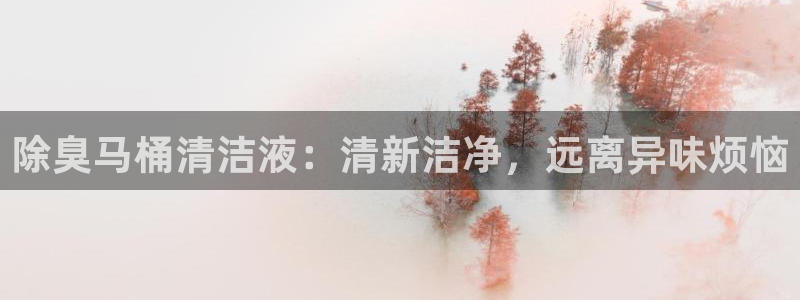 尊龙凯时是正规平台吗：除臭马桶清洁液：清新洁净，远离异味