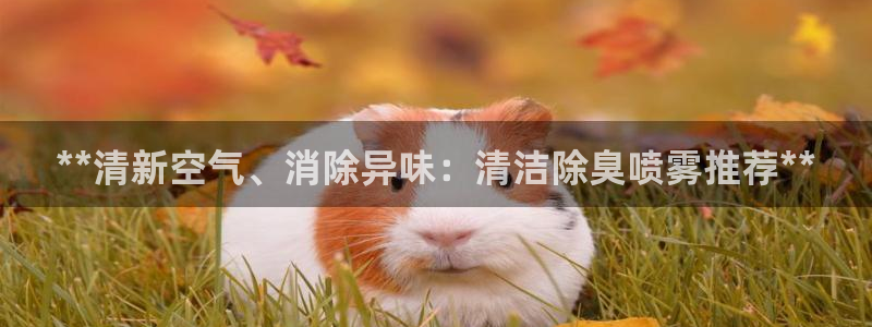 尊龙凯时返现