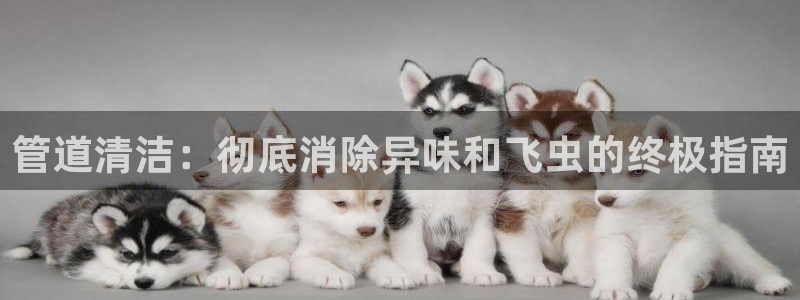 尊龙人生就是博d88官方网站