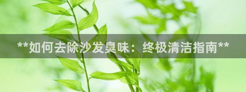 尊龙凯时品牌介绍：*