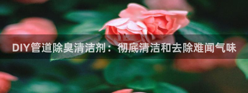 尊龙凯时官方网页