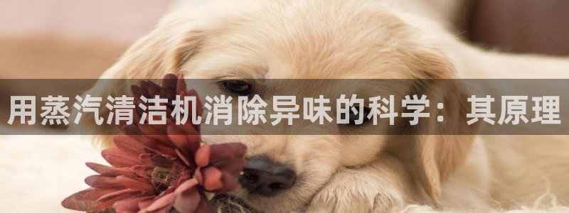 尊龙凯时app产品介