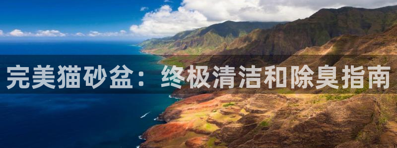 尊龙凯时是不是合法：完美猫砂盆：终极清洁和除臭指南