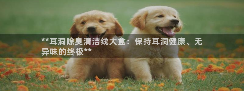 尊龙手机客户端下载：**耳洞除臭清洁线大盒：保持耳洞健康