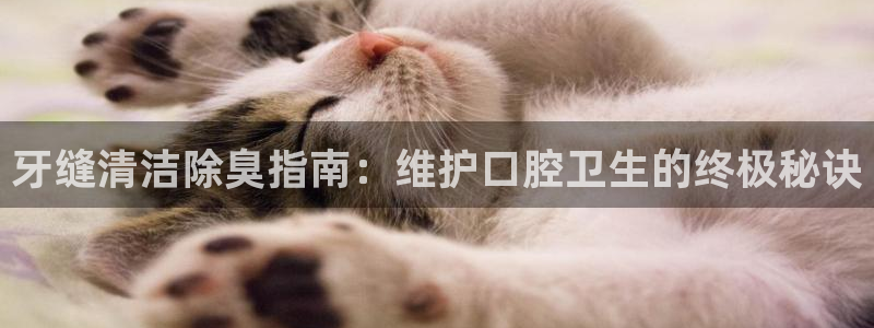 尊龙人生就是傅官网：牙缝清洁除臭指南：维护口腔卫生的终极