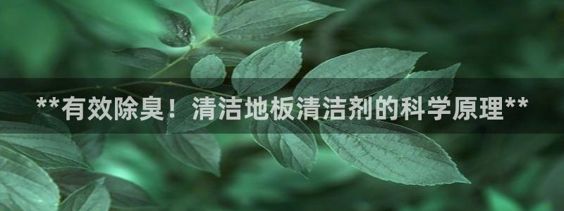 凯时k66会员登录：**有效除臭！清洁地板清洁剂的科学原